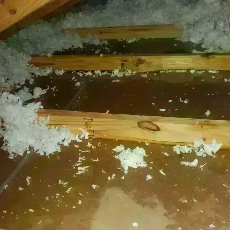 Attic Water Damage in Grand Canyon, AZ