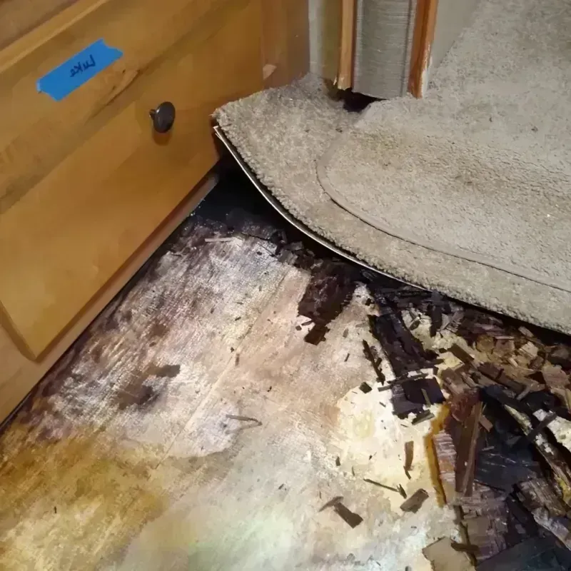 Wood Floor Water Damage in Grand Canyon, AZ